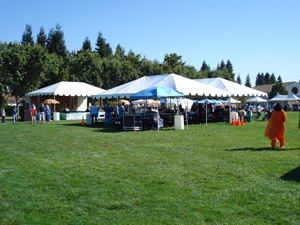 The festival was set in a field and filled with booths from many different groups.