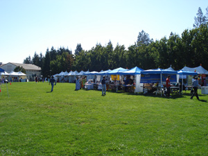 The festival was set in a field and filled with booths from many different groups.