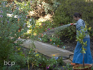 Uma Didi taking care of the gardens around the Temple.