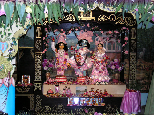 Sri Sri Guru Gauranga Gandharvika Giridhari Jiu Their Lordships were resplendant in pink wearing Their new crowns made here in Soquel with special help from Sureshvari Didi.