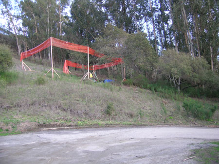 It sits above the barn on the hillside beside the Eucalyptus trees.