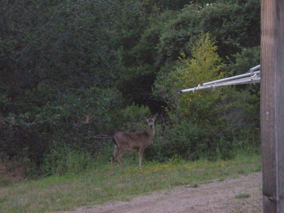 Mom was also nearby and seemed unafraid.