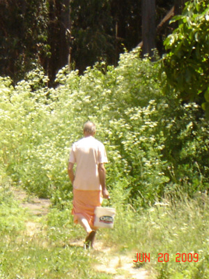 Siddhanti Maharaj takes out the compost.