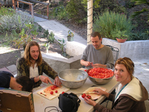 Nitai, Prem Narayana and Kesavananda Prabhu with Jenny help with the bhoga preparation.