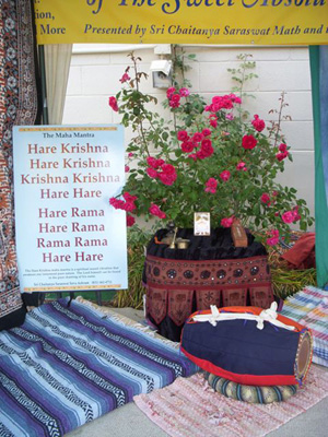 Srila Govinda Maharaj seated on the altar in front of a rose bush growing in the ground at the perfect spot.