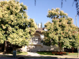 A view of the former 13th Street temple building today.