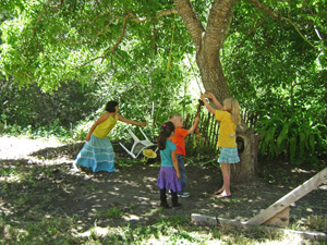 Play time under the walnut tree behind the temple.