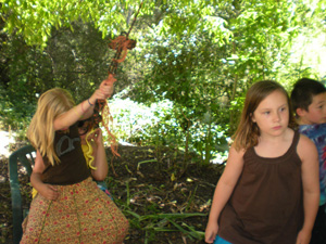 Swinging on the walnut tree