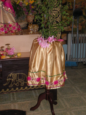 Sriamti Tulsidevi wearing her new skirt made by Krishnapriya Didi.