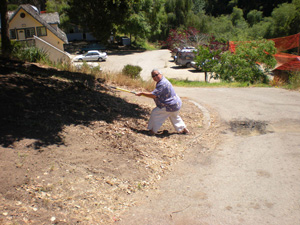 Diksavati Didi comes by to help rake the garden area.