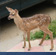 A family of deer at the Ashram